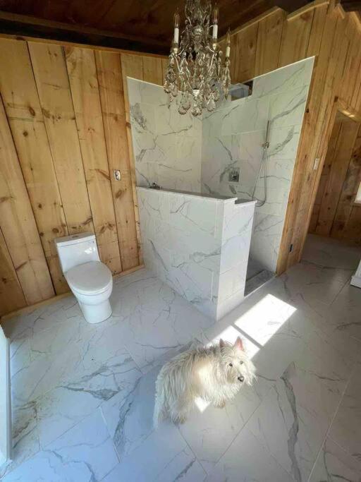 The Kaaterskill Villa Catskill Buitenkant foto